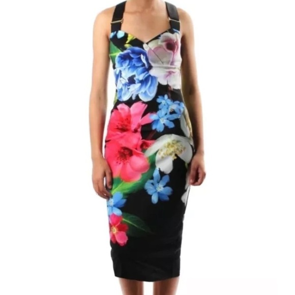 Ted Baker Dress - Picture 1 of 6
